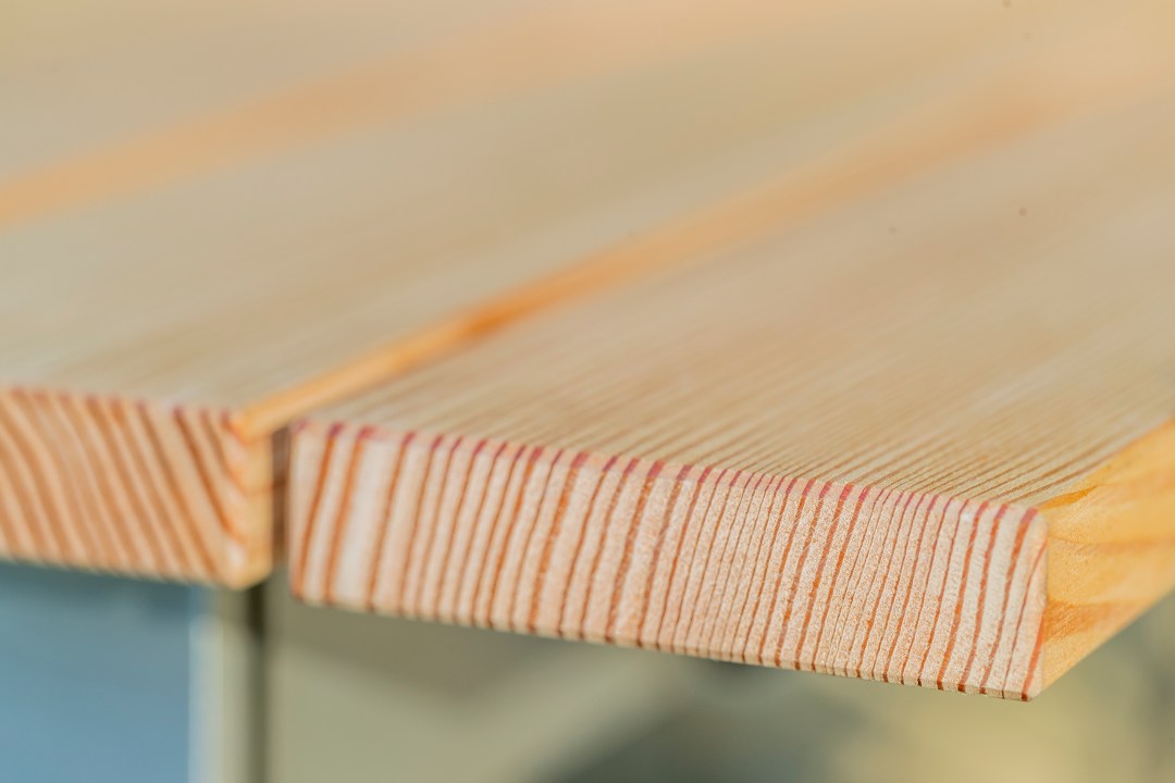 Lärchenholz von vorne mit Altersringen