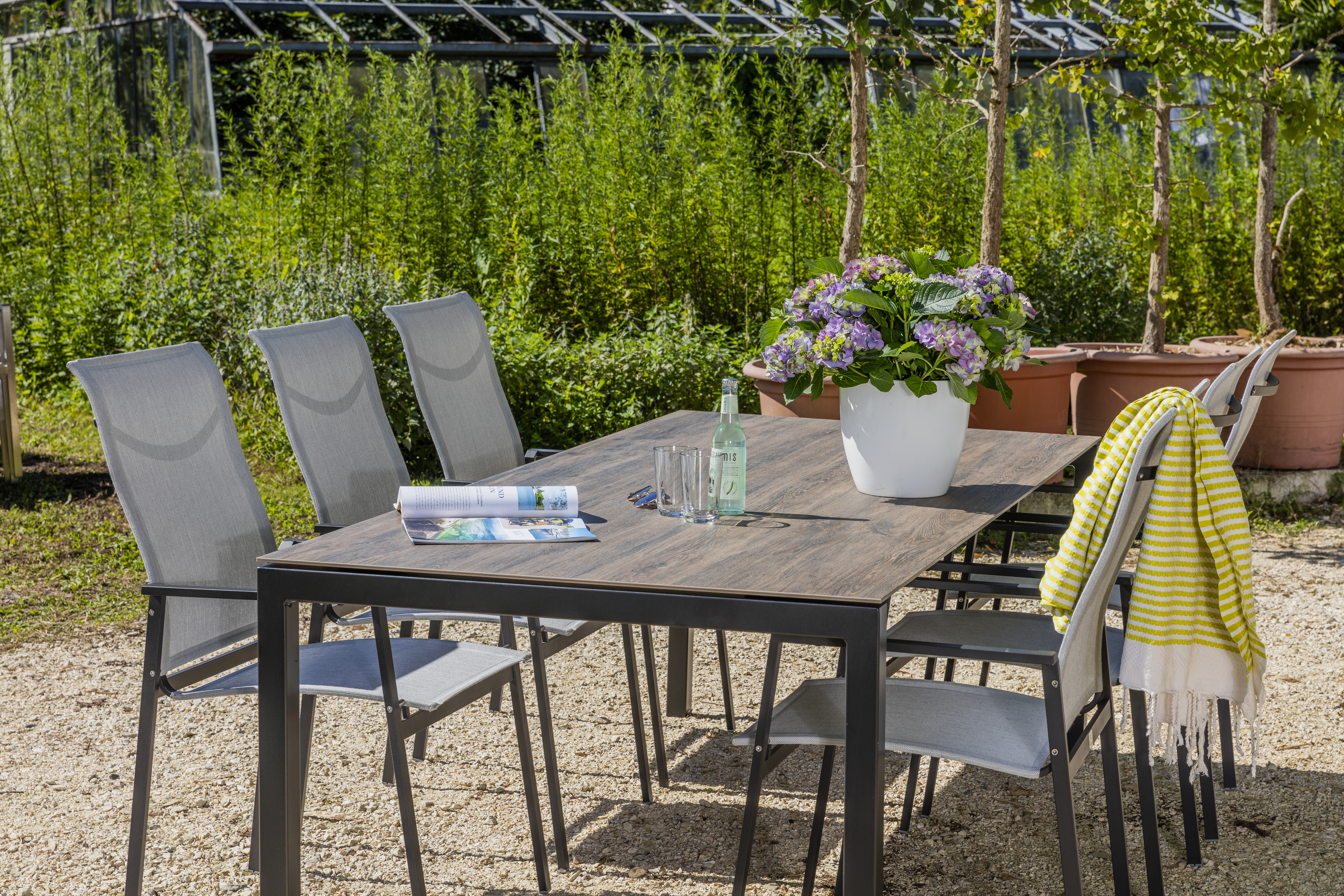 9311 ausgezogen mit Sessel RACE anthrazit - EDEN Silver.