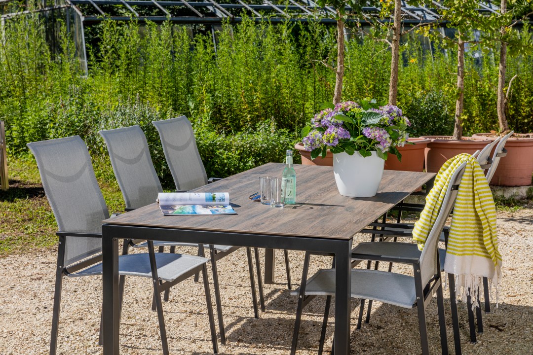 9311 ausgezogen mit Sessel RACE anthrazit - EDEN Silver.